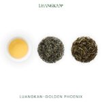 Golden Phoenix - Image 7