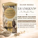 Silver Needle