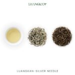 Silver Needle - Image 7