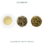 White Peony - Image 7